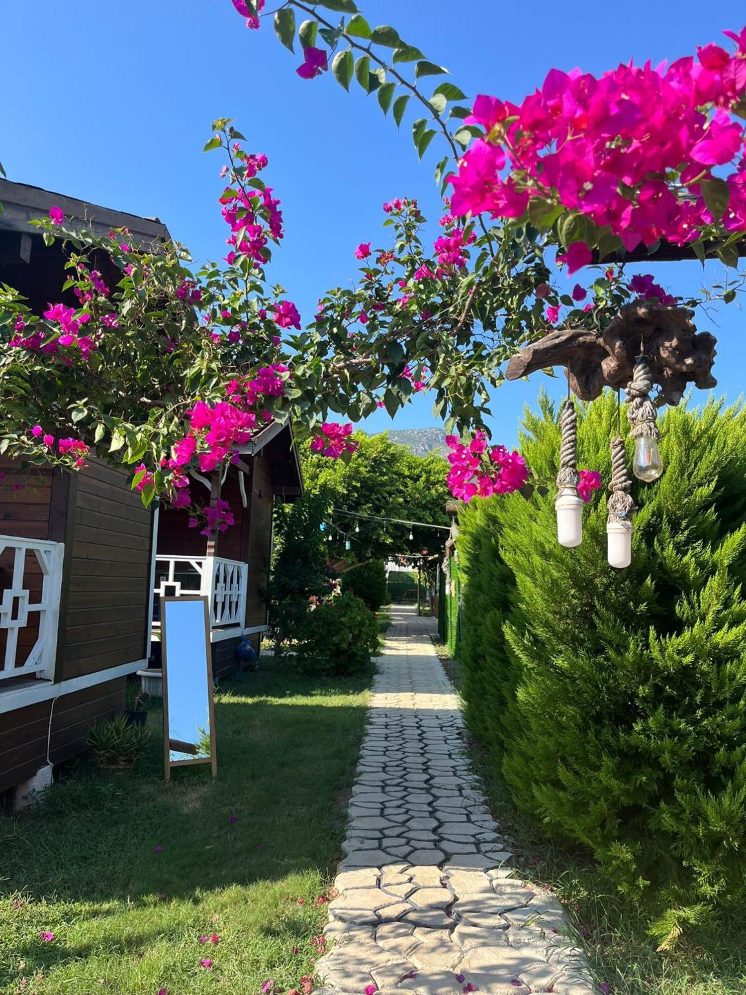 Karaoez Ada Bungalows & Villa Exterior foto